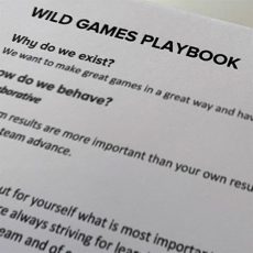 Wild Playbook